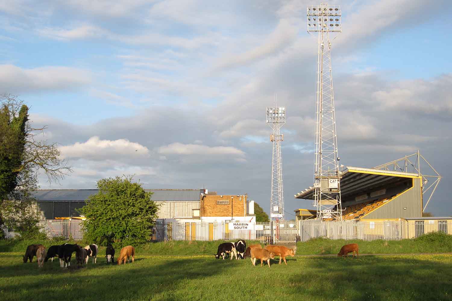 Cambridge United v Stevenage: Our hosts are on the verge of promotion to the third tier for the first time since 2002. Let's make them wait a little longer...