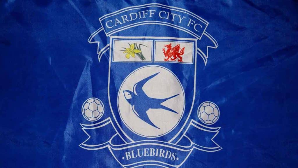 Cardiff City flag - 100% Bluebirds