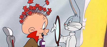Notts County v Stevenage: Rabbit Of Seville