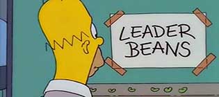 Homer Simpson - Leader Beans